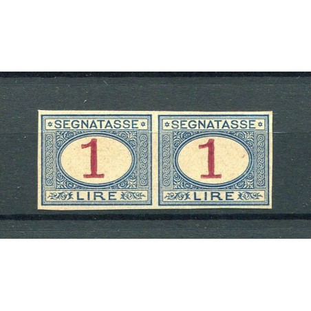 1890/94 ITALIA SEGNATASSE £.1 AZZURRO E CARMINIO N.27 COPPIA  E260